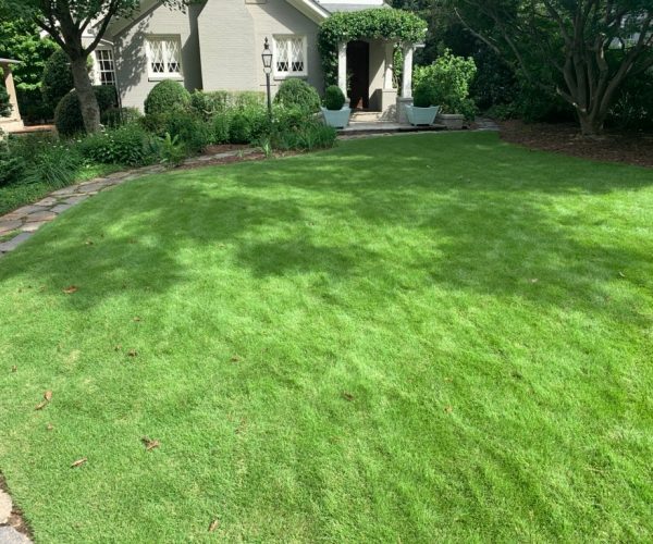 turf bros, lawn care in charlotte, charlotte lawn care company