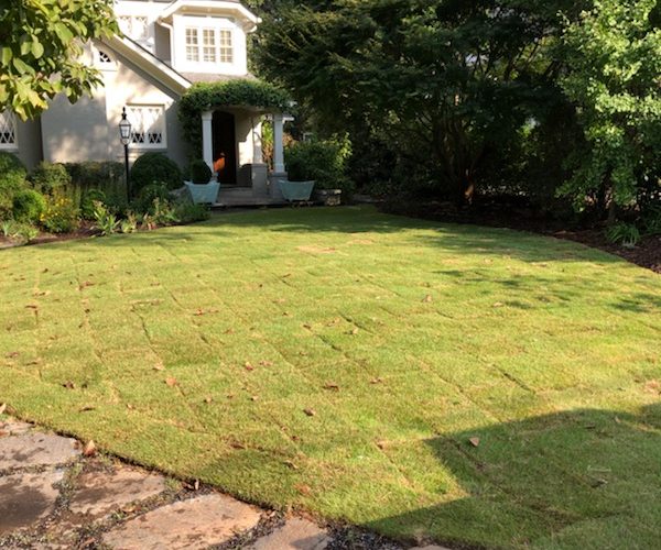 turf bros, lawn care in charlotte, charlotte lawn care company