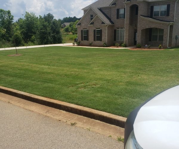 turf bros, lawn care in charlotte, charlotte lawn care company