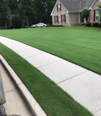 pineville lawn care, turf brothers lawn care, lawn care in pineville nc