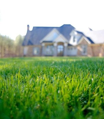 turf brothers lawn care, lawn care service in charlotte, carolina lawn care