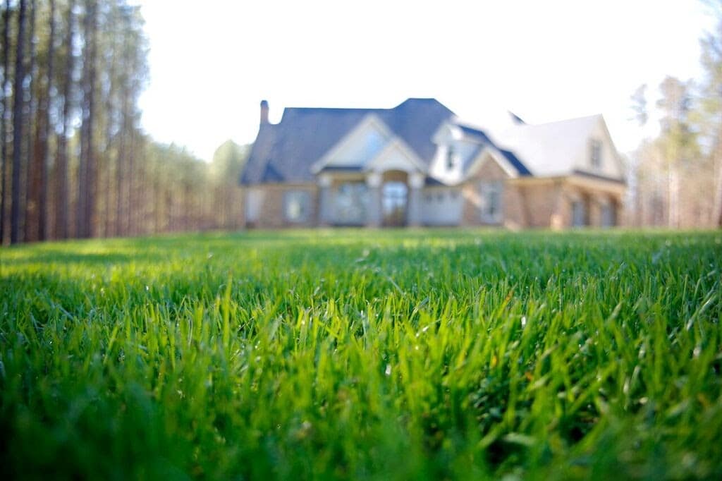 turf brothers lawn care, lawn care service in charlotte, carolina lawn care