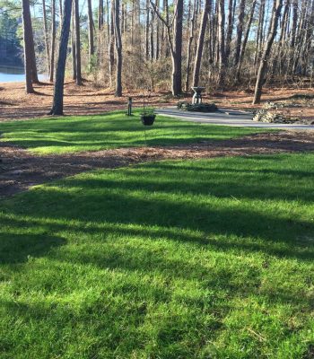 lawn care company in charlotte, charlotte lawn care service, turf brothers lawn care