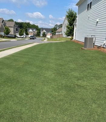 turf brothers lawn care, fort mill lawn care, carolina lawn care