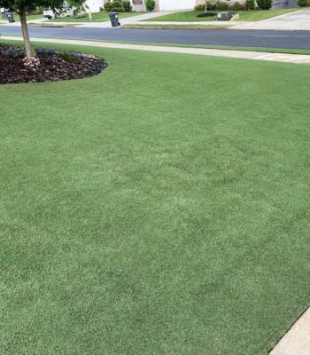 lawn fertilization in charlotte, turf brothers lawn care, charlotte lawn care