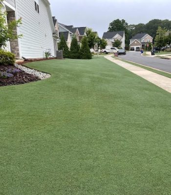 lawn care company in charlotte, turf brothers lawn care, turf bros