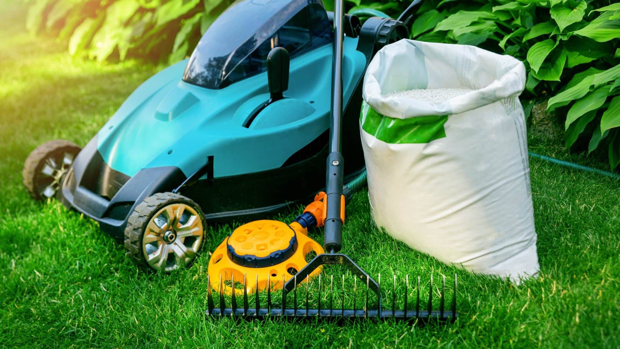 Spring Lawn Care, Charlotte Lawn Care, Turf Brothers Lawn Care, Charlotte NC