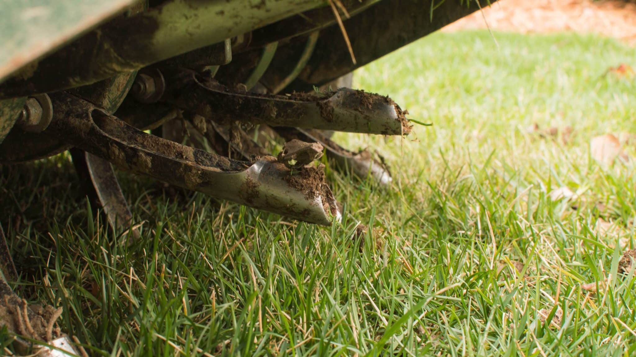 Core aeration in Rock Hill SC, core aeration machine, Turf Brothers Lawn Care