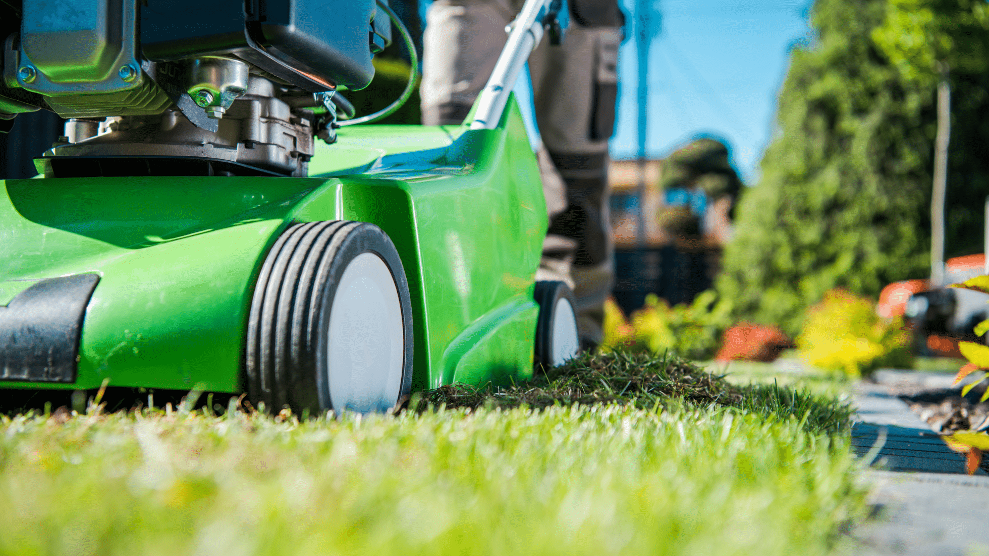 lawn care in fort mill, lawn care tips, turf brothers lawn care, fort mill sc