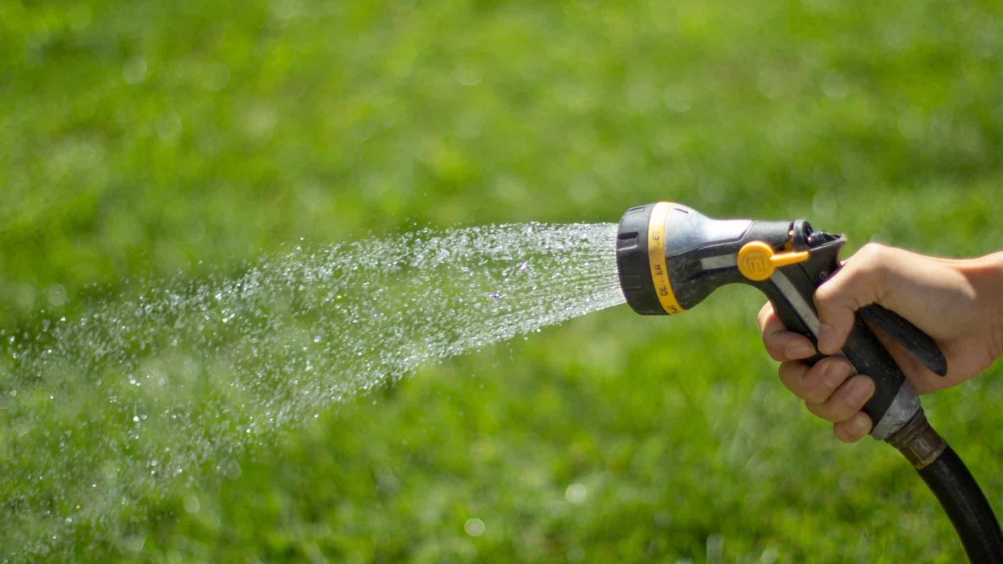 Charlotte Lawn Watering Tips, Charlotte Lawn Care, Watering hose, turf brothers lawn care